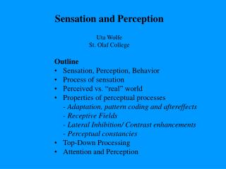 Outline Sensation, Perception, Behavior Process of sensation Perceived vs. “real” world