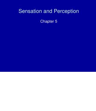 Sensation and Perception