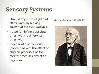 Sensory Systems