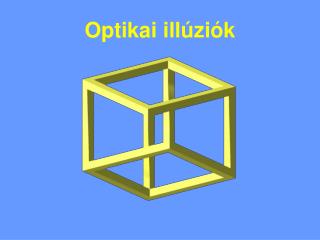 Optikai illúziók