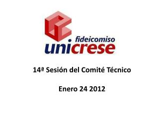 14ª Sesión del Comité Técnico Enero 24 2012