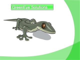 GreenEye Solutions