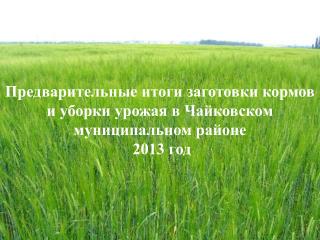 Предварительные итоги заготовки кормов и уборки урожая в Чайковском муниципальном районе 2013 год