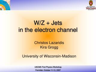 W/Z + Jets in the electron channel