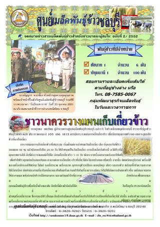  ชัยนาท 1 	จำนวน		 6	ตัน  ปทุมธานี 1 	จำนวน	100	ตัน