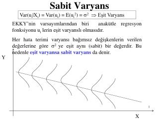 Sabit Varyans