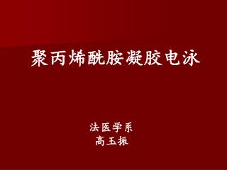 聚丙烯酰胺凝胶电泳