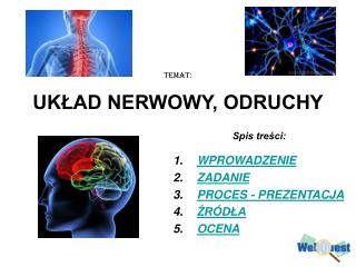 Temat: UKŁAD NERWOWY, ODRUCHY