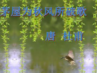 茅屋为秋风所破歌 唐 杜甫