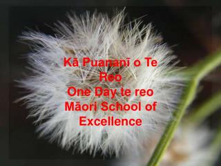 Kā Puananī o Te Reo One Day te reo Māori School of Excellence