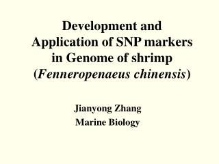 Development and Application of SNP markers in Genome of shrimp ( Fenneropenaeus chinensis )