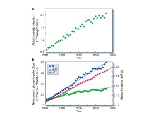 Bluefin Tuna in Atlantic Nearing Extinction, Conservation Group Says Stefan Lovgren