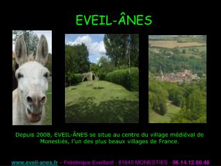 EVEIL-ÂNES
