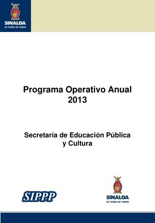 Programa Operativo Anual 2013