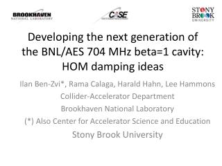 Developing the next generation of the BNL/AES 704 MHz beta=1 cavity: HOM damping ideas
