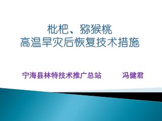 宁海县林特技术推广总站 冯健君