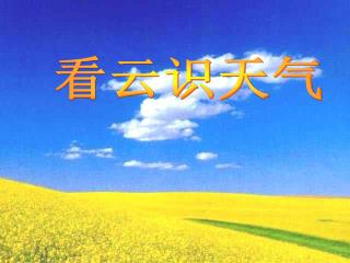 看云识天气