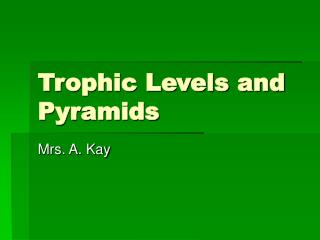 Trophic Levels and Pyramids