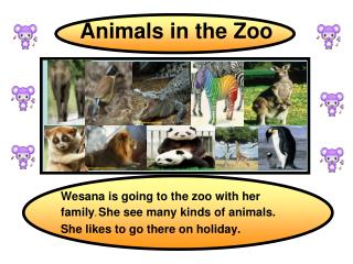 Animals in the Zoo