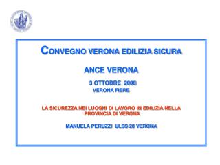 1. SICUREZZA NEI LUOGHI DI LAVORO IN EDILIZIA NELLA PROVINCIA DI VERONA