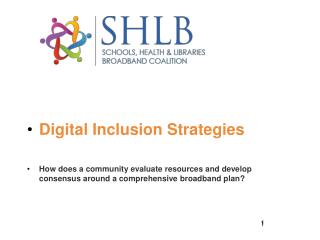 Digital Inclusion Strategies