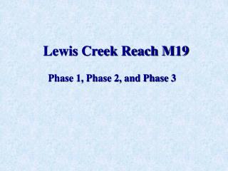 Lewis Creek Reach M19