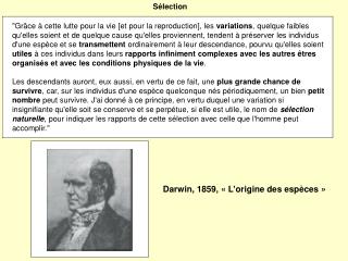Sélection