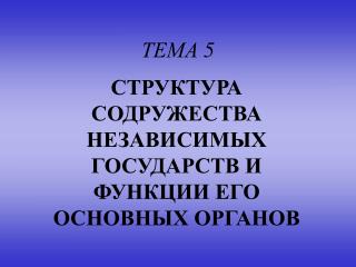 ТЕМА 5