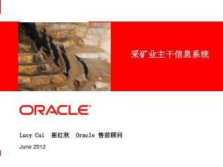 Lucy Cui 崔红秋 Oracle 售前顾问