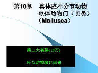 第 10 章 真体腔不分节动物 软体动物门（贝类） （ Mollusca ）