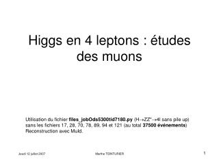 Higgs en 4 leptons : études des muons