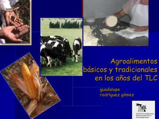 Agroalimentos básicos y tradicionales en los años del TLC
