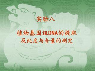 植物基因组 DNA 的提取 及 纯度与含量的测定