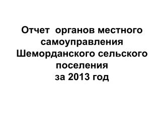 Отчет органов местного самоуправления Шеморданского сельского поселения за 2013 год