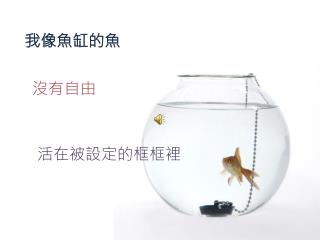 我像魚缸的魚