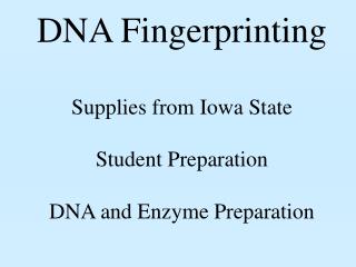 DNA Fingerprinting Supplies from Iowa State Student Preparation DNA and Enzyme Preparation