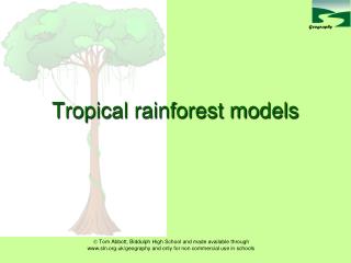 Tropical rainforest models