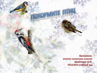 Покормите птиц