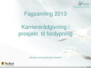 Fagsamling 2013 Karriererådgivning i prosjekt til fordypning Merete Leming/Merethe Schjem