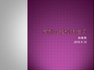 聚酮合成模块组装