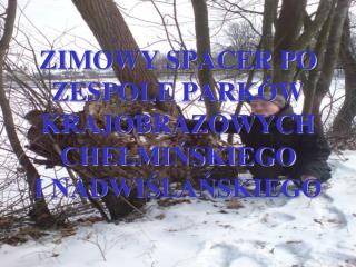 ZIMOWY SPACER PO ZESPOLE PARKÓW KRAJOBRAZOWYCH CHEŁMIŃSKIEGO I NADWIŚLAŃSKIEGO