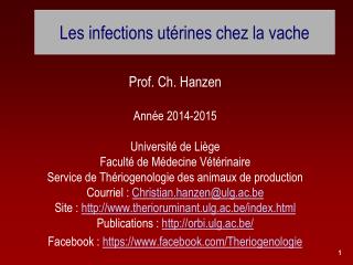 Les infections utérines chez la vache