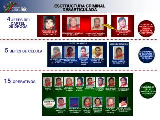 JEFES DE LA ORGANIZACIÓN CRIMINAL DEDICADA AL NARCOTRÁFICO