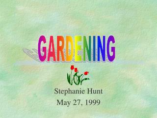 Stephanie Hunt May 27, 1999