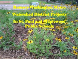 Ramsey-Washington Metro Watershed District Projects In St. Paul and Maplewood Public Schools