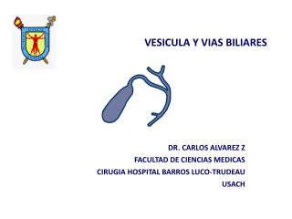 VESICULA Y VIAS BILIARES