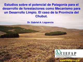 Dr. Gabriel A. Loguercio