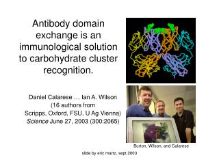 Antibody domain exchange is an immunological solution to carbohydrate cluster recognition.