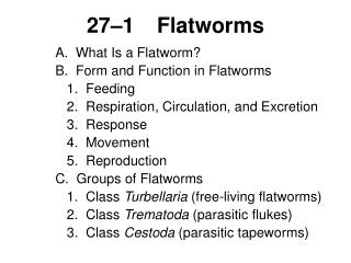 27–1	Flatworms