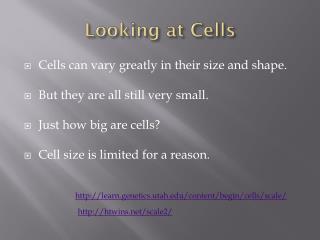Looking at Cells